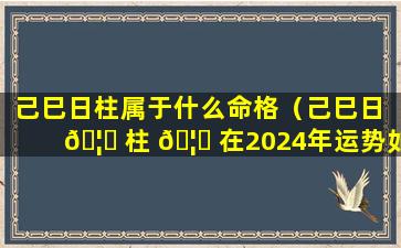 己巳日柱属于什么命格（己巳日 🦋 柱 🦍 在2024年运势如何）